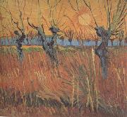 Willows at Sunset (nn04)